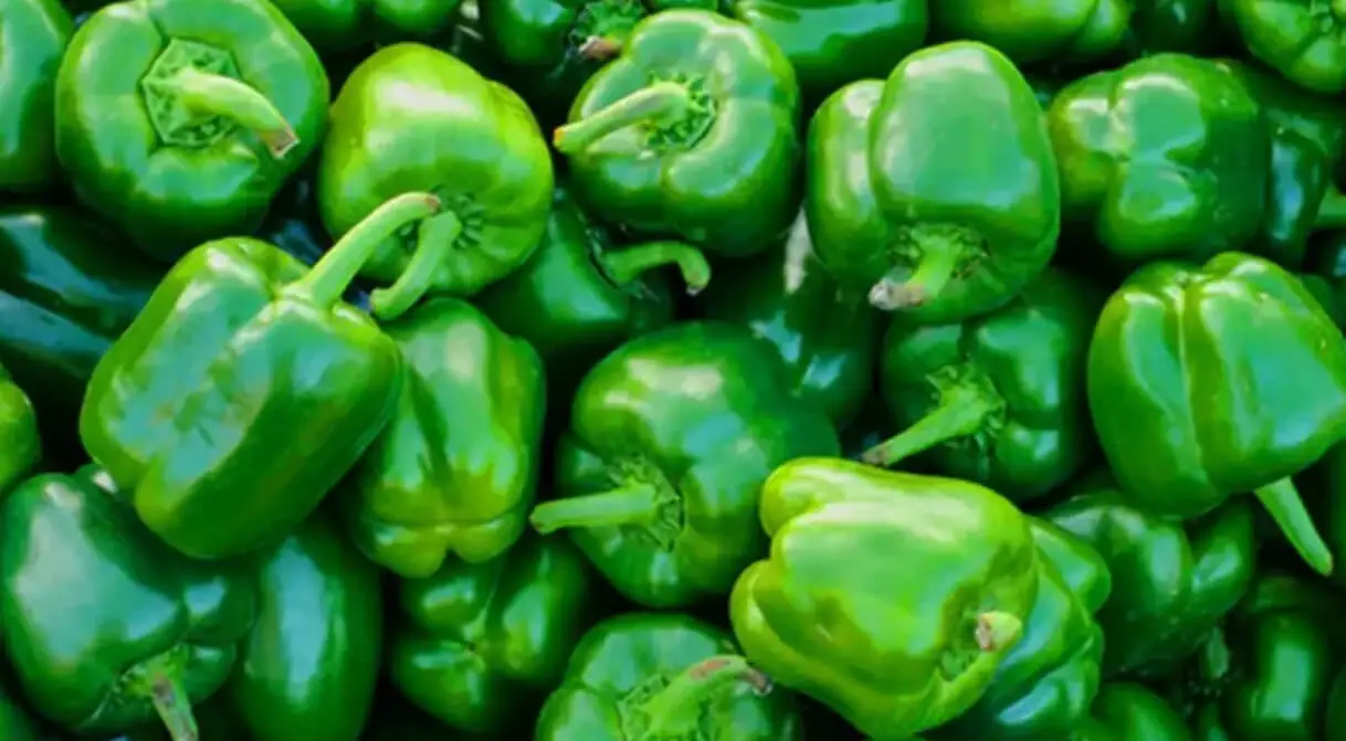 Fresh Capsicum mandi bhav and vegetable price in Dausa, Rajasthan