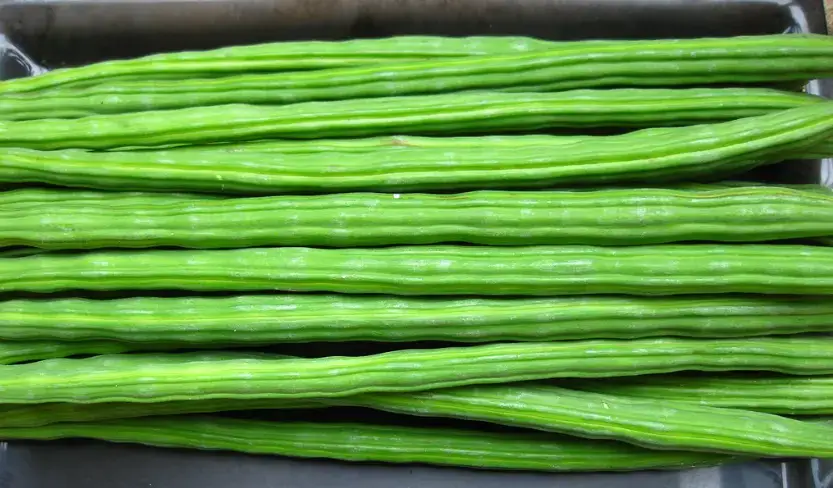 Fresh Drumstick mandi bhav and vegetable price in Jaipur, Rajasthan
