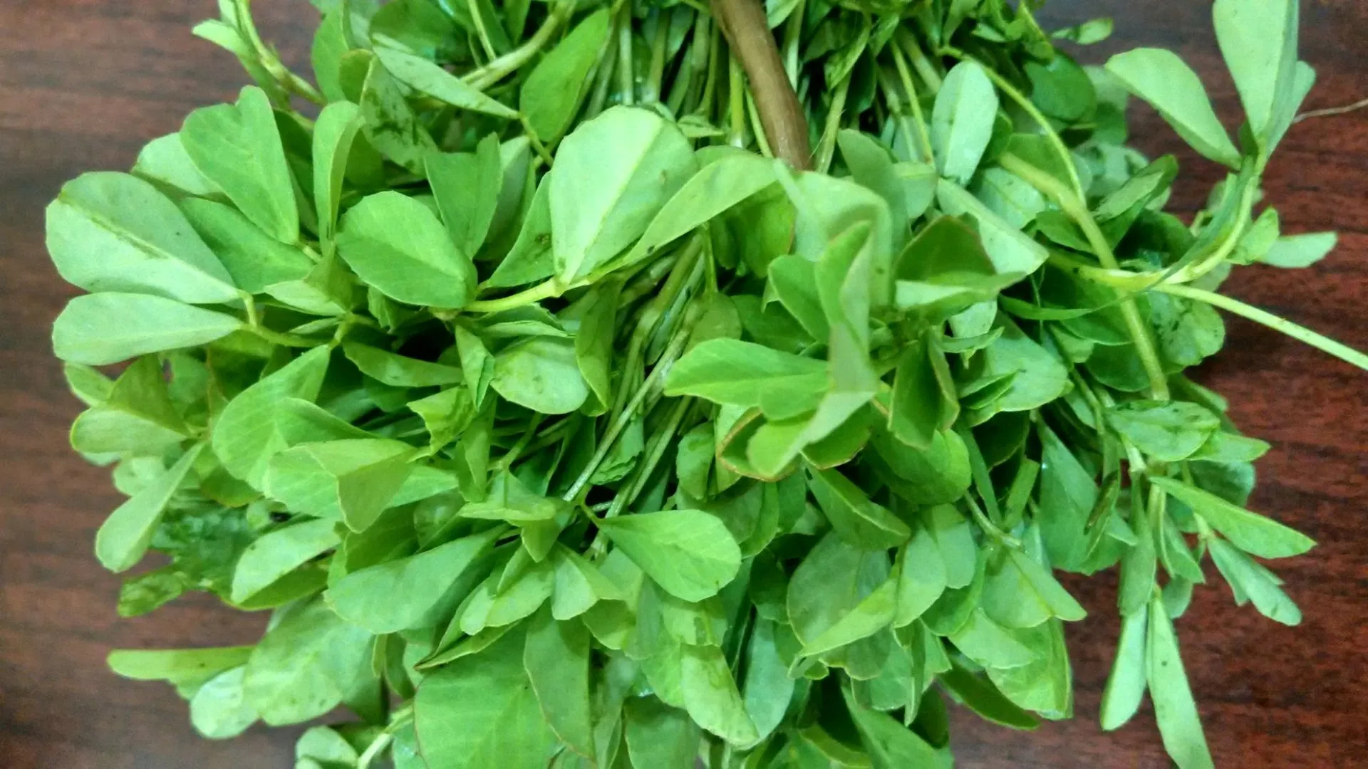 Fresh Fenugreek mandi bhav and vegetable price in Bikaner, Rajasthan