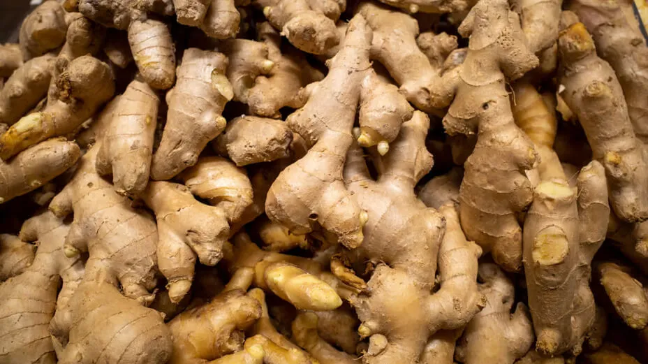 Fresh Ginger mandi bhav and vegetable price in Jodhpur, Rajasthan