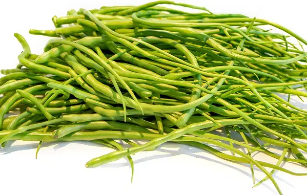 Fresh Sangri mandi bhav and vegetable price in Ajmer, Rajasthan