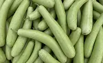 Bottle gourd Icon