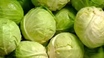 Cabbage Icon