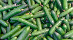 Cucumber Icon