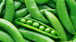 Peas Icon