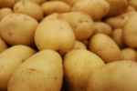 Potato Icon